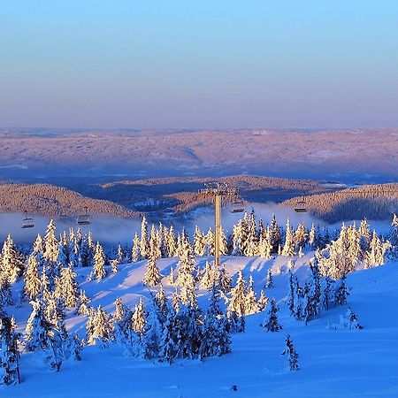 Sjusjoen Hytteutleie As Екстериор снимка