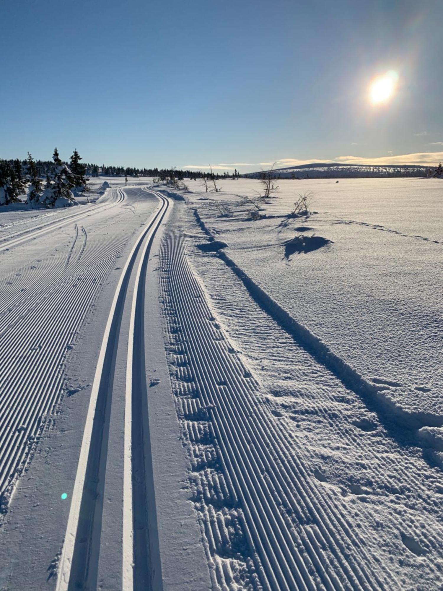 Sjusjoen Hytteutleie As Екстериор снимка