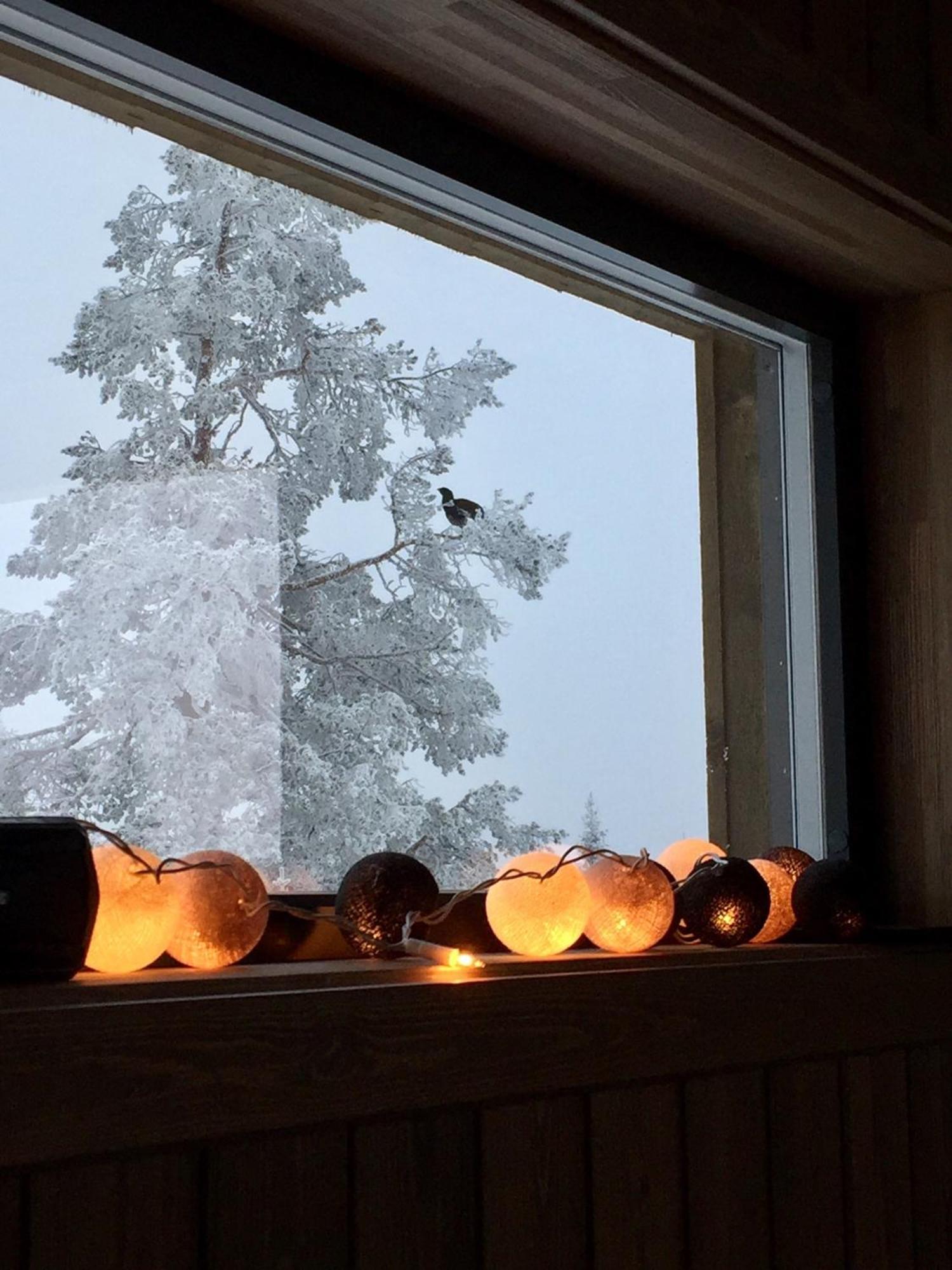 Sjusjoen Hytteutleie As Екстериор снимка